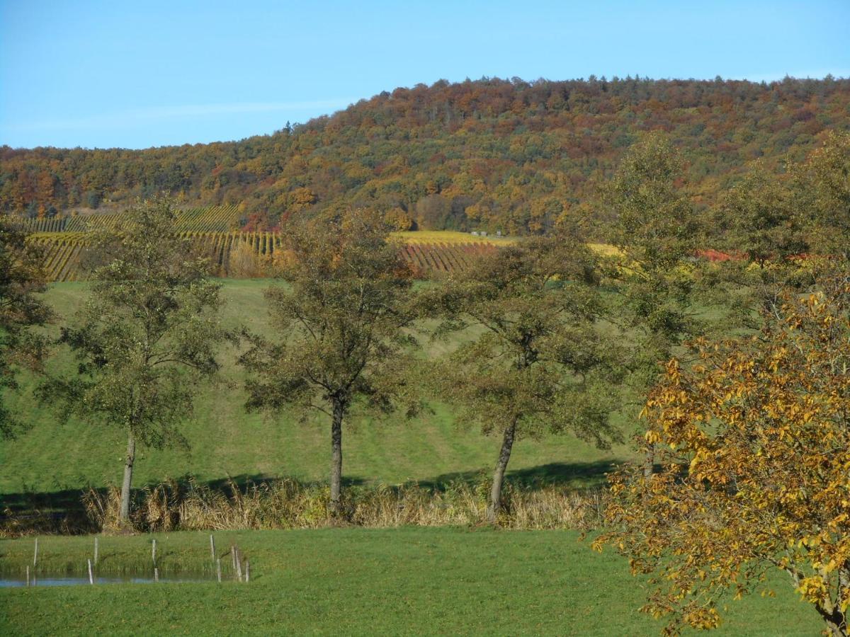 Pension Zur Traube 3 Sterne Oberschwarzach Eksteriør bilde